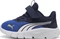 Puma FlexFocus Modern vivid blue/puma white (Junior) Vorschaubild
