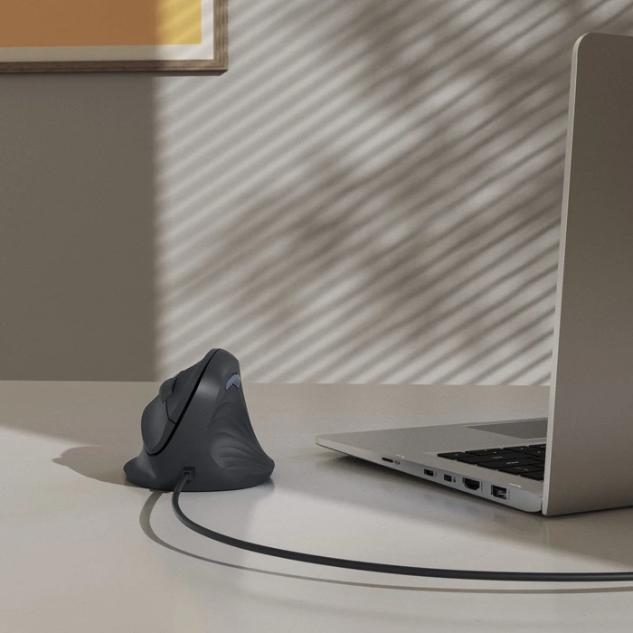 Hama ECM-500R Vertical Maus schwarz, USB