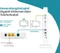 Symarix TGU 41 & TGU 44 Master/Slave Set, Ethernet über Telefonleitung, RJ-45 G.hn, 2x RJ-45, 2er-Pack Vorschaubild
