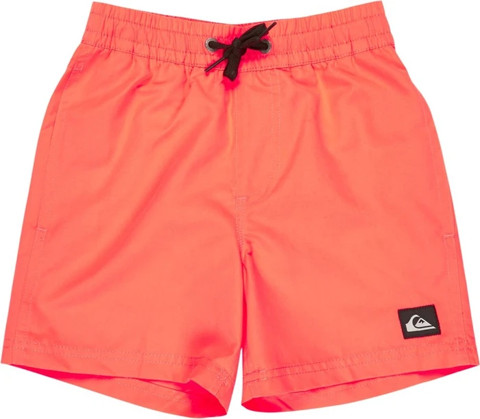 Quiksilver Everyday Volley 12" Badeshorts (Junior)