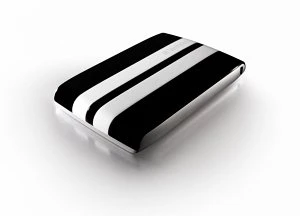 Verbatim GT Portable schwarz/weiß 500GB, USB 2.0