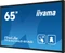 iiyama ProLite TF6539AS-B1AG, 65" Vorschaubild