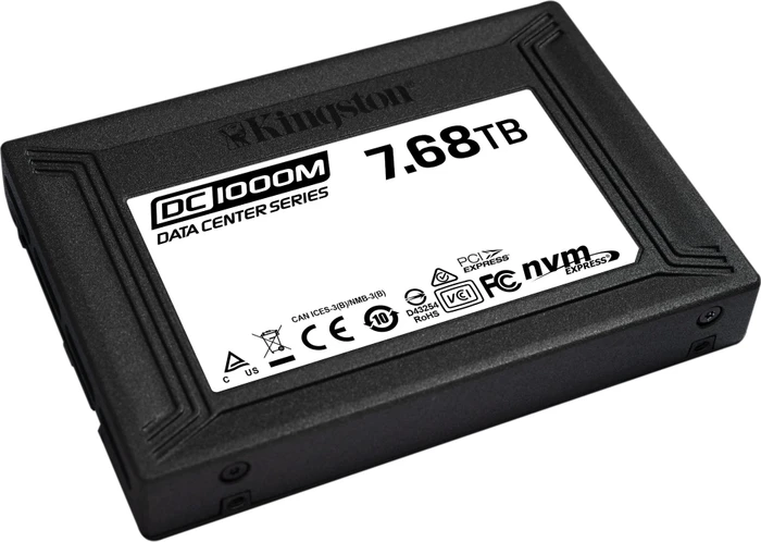 Kingston DC1000M, U.2