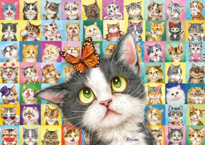 Schmidt Spiele Katzen-Mimik