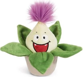 Nici Funny Flowers Pflanze Aloe Vera Willibald 18cm
