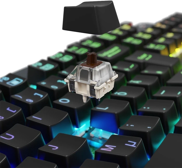 Lioncast LK300 Pro RGB, MX RGB BROWN, USB, DE