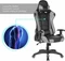 IntimaTe WM Heart Racersedia 3 Gamingstuhl, schwarz/grau Vorschaubild