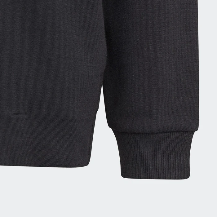 adidas Future Icons Logo Hoodie schwarz (Junior)