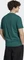 adidas Essentials Single Jersey Embroidered Small Logo T-Shirt kurzarm collegiate green (Herren) Vorschaubild