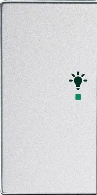 Busch-Jaeger Wippe 2-fach mit Symbol "Licht", alusilber