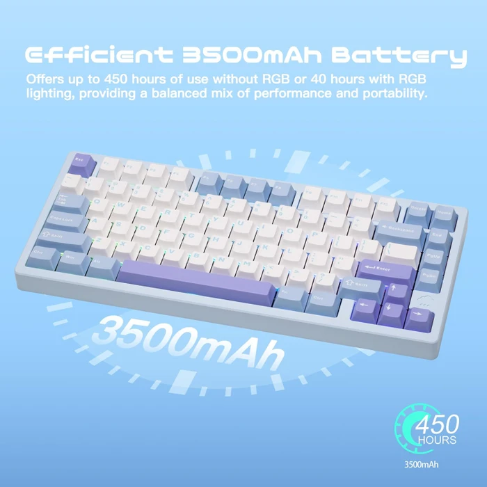 Wobkey Rainy 75 Standard, blau, LEDs RGB, HMX Violet Linear, USB/Bluetooth, US