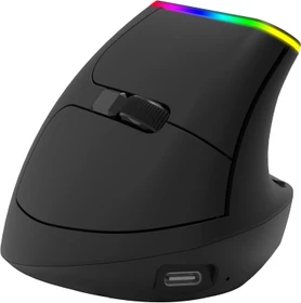 Ordissimo Ergonomic Vertical Wireless Mouse schwarz, USB (ART0425)