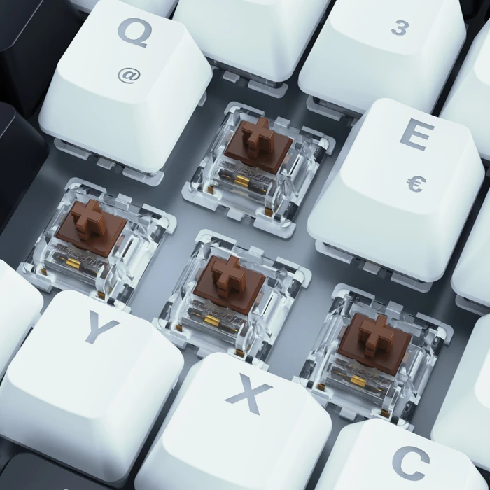 Sharkoon Skiller SGK50 S3 White, schwarz/weiß, LEDs RGB, hot-swap, Gateron BROWN, USB, DE