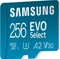 Samsung EVO Select R160 256GB Kit, UHS-I U3, A2, Class 10 Vorschaubild