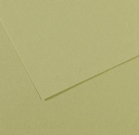 Canson Mi-Teintes Zeichenpapier, 500x650mm, glatt, hellgrün, 10 Blatt