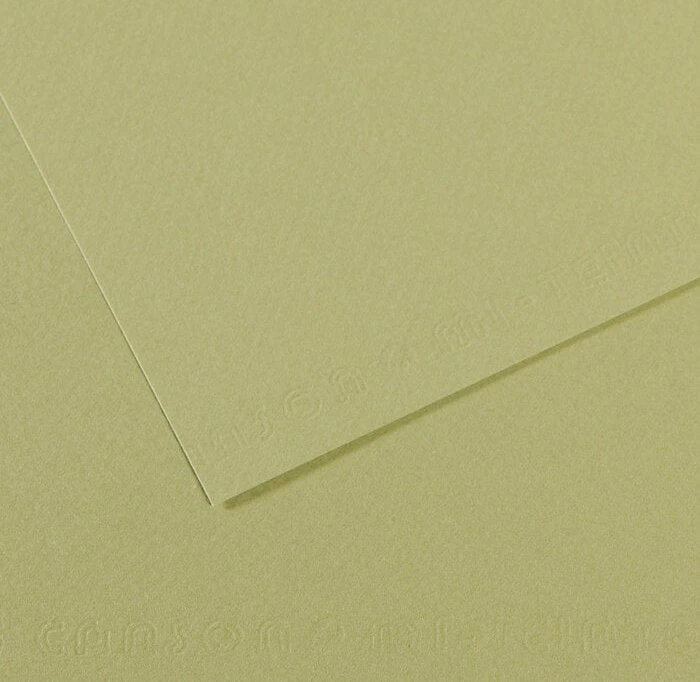 Canson Mi-Teintes Zeichenpapier, 500x650mm, glatt, hellgrün, 10 Blatt
