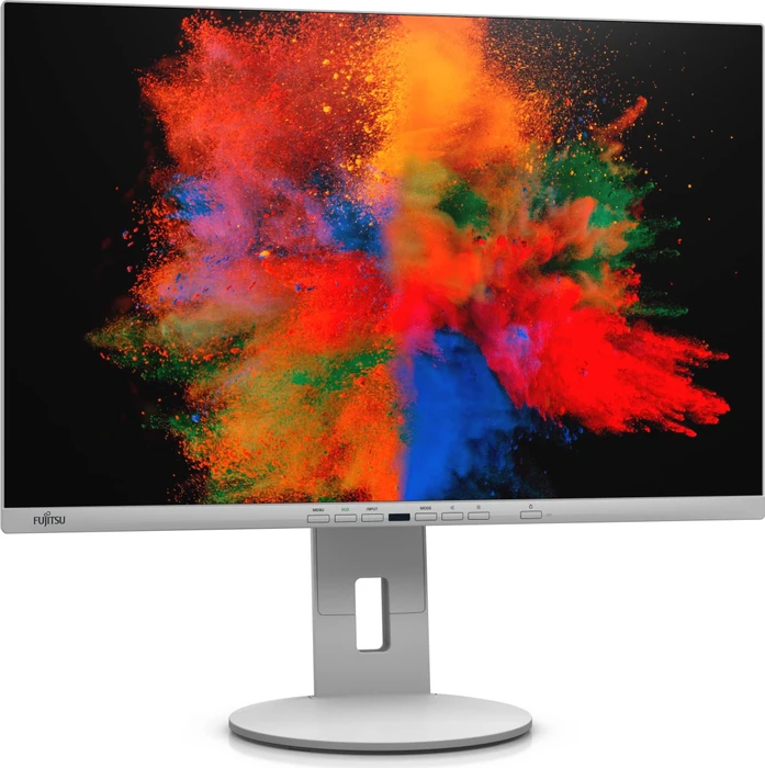 Fujitsu P-Line P2410 WE, 24.1"