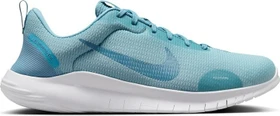 Nike Flex Experience Run 12 denim turquoise/white/smoky blue (Herren)