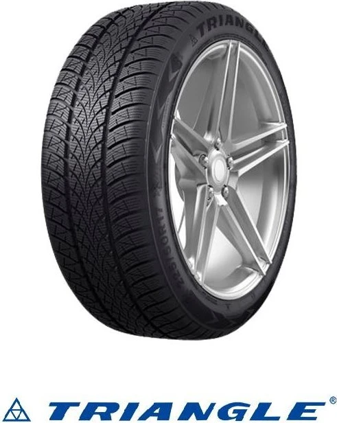 Triangle WinterX TW401 195/55 R20 95H XL
