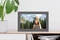Netgear Meural WiFi Photo Frame MC315 15.6" Vorschaubild