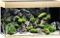 Juwel Rio 125 LED Aquarium Vorschaubild