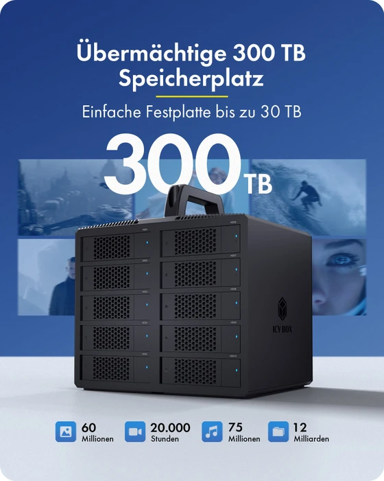 RaidSonic Icy Box IB-3710-C31, Diamond Case 3710, 10x 2.5"/3.5", USB-C 3.1