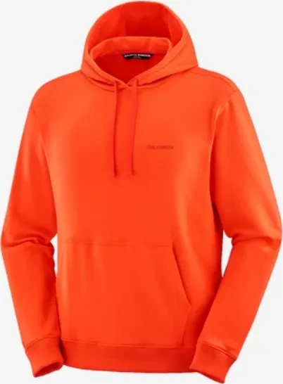 Salomon Snow Inspired Droppin Hoodie (Herren)