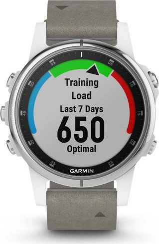 Garmin Fenix 5S Plus Sapphire grau