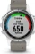Garmin Fenix 5S Plus Sapphire grau Vorschaubild