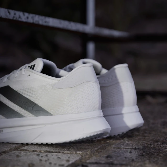 adidas Adizero SL2 cloud white/core black/dash grey (Herren)