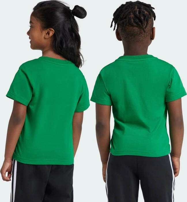 adidas Adicolor Trefoil T-Shirt kurzarm grün (Junior)