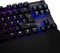 SteelSeries Apex 7 TKL, SteelSeries QX2 RED, USB, US Vorschaubild