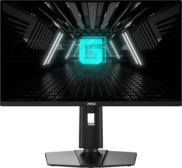 MSI G255PFDE E2, 24.5"