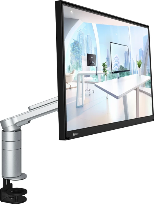 Eizo FlexScan FLT, 23.8"