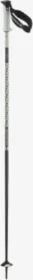 Salomon Polar Pro S3 Alpin Skistock white moss (Modell 2024/2025)