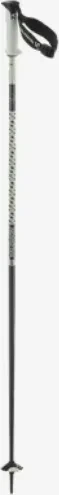 Salomon Polar Pro S3 Alpin Skistock white moss (Modell 2024/2025)