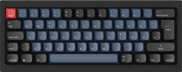 Keychron Q4, 60% Layout, LEDs RGB, Carbon Black, Gateron G Pro RED, USB, DE