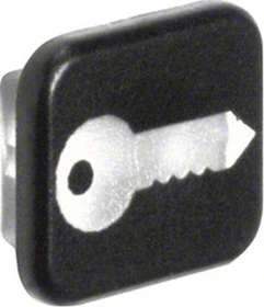 Berker W.1 Linse mit Aufdruck Symbol für Türöffner, transparent
