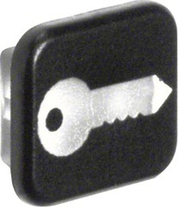 Berker W.1 Linse mit Aufdruck Symbol für Türöffner, transparent