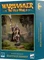 Games Workshop Warhammer The Old World - Beastmen Brayherds Vorschaubild