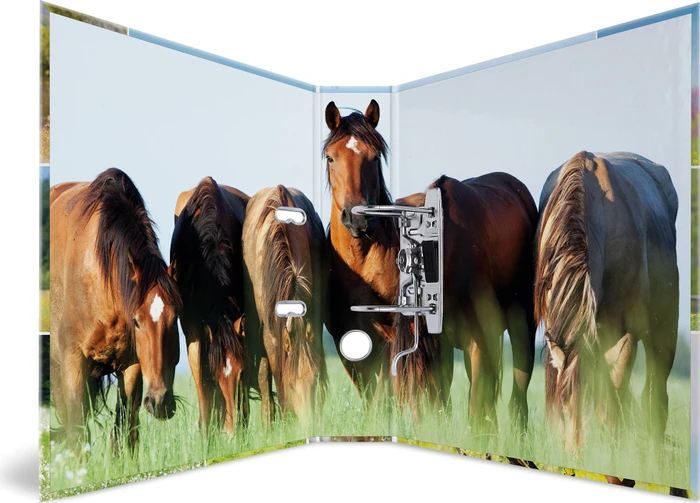 Herma Ordner 2-Ring mit Motiv, 70mm, A4, Animals Pferdewiese