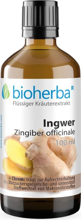 Bioherba Ingwer Zingiber officinale Tropfen Tinktur, 50ml