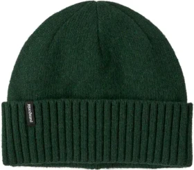 Patagonia Brodeo Beanie treeline green