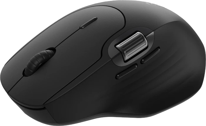 Rapoo MT560 Multi-Mode Wireless Mouse, schwarz, USB/Bluetooth