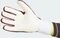 adidas Copa League Torwarthandschuhe shadow red/white/solar yellow Vorschaubild
