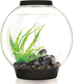 Oase biOrb Classic 60 LED Thermo Aquarium-Set, schwarz, 60l