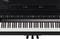 Roland GP-9 schwarz Vorschaubild