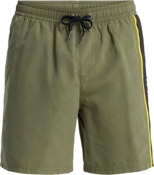 Quiksilver Everyday Clicker Volley 17" Badeshorts grape leaf (Herren)