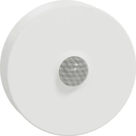Schneider Electric Wiser Bewegungsmelder/Lichtsensor, Bewegungssensor (CCT595012)