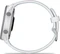 Garmin Forerunner 170 whitestone/whitestone-cloud blue Vorschaubild
